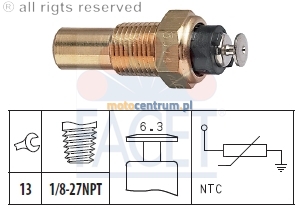 czujnik-temperatury-plynu-chlodzacego-facet.jpg