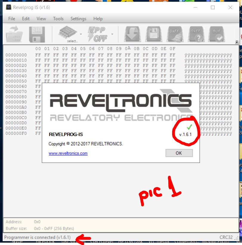 Revelprog IS pic 1.JPG
